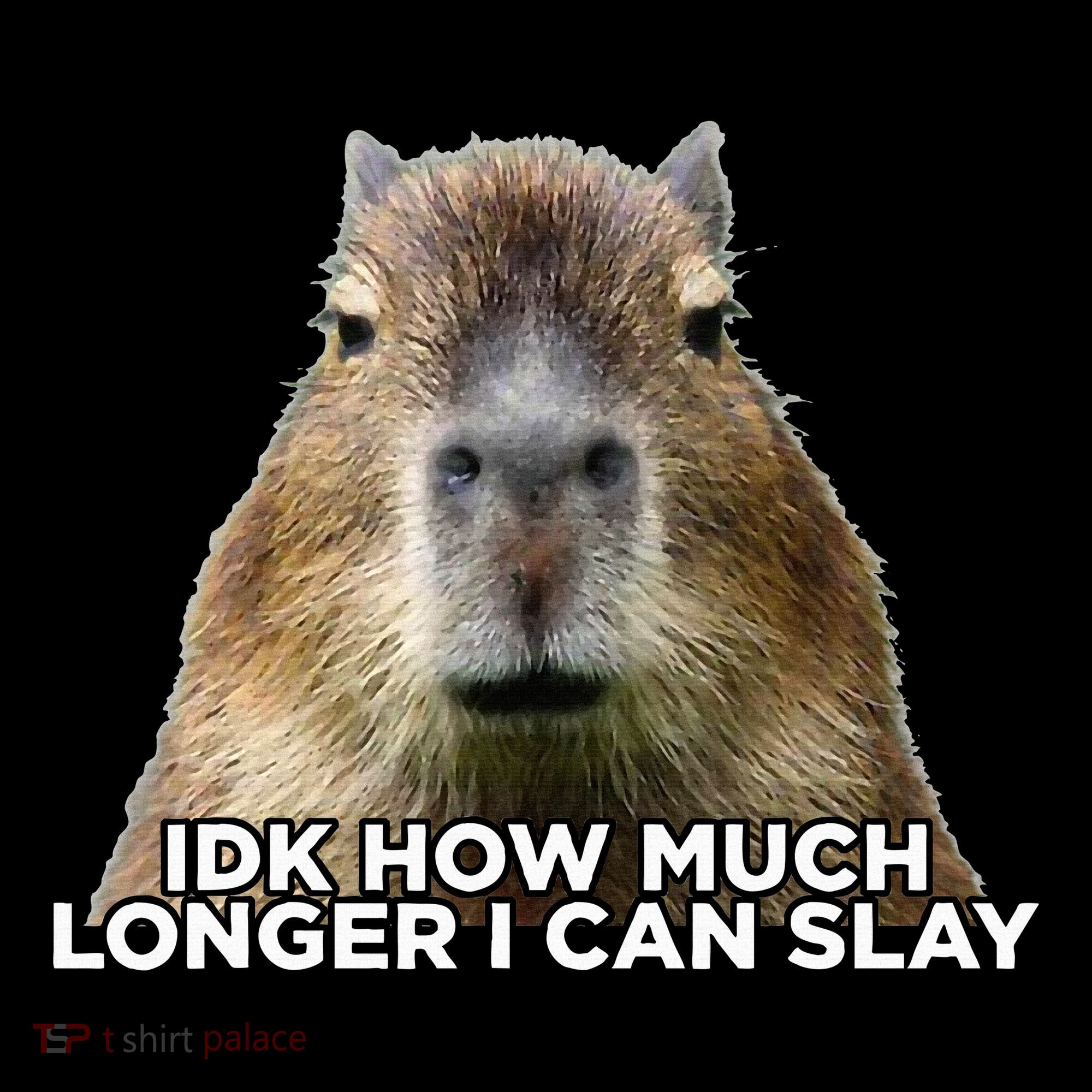 Idk How Much Longer I Can Slay Capybara Sarcastic Dank Meme Sweatshirt