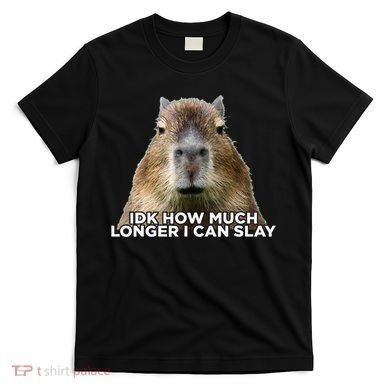 Idk How Much Longer I Can Slay Capybara Sarcastic Dank Meme T-Shirt