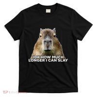 Idk How Much Longer I Can Slay Capybara Sarcastic Dank Meme T-Shirt thumb 0