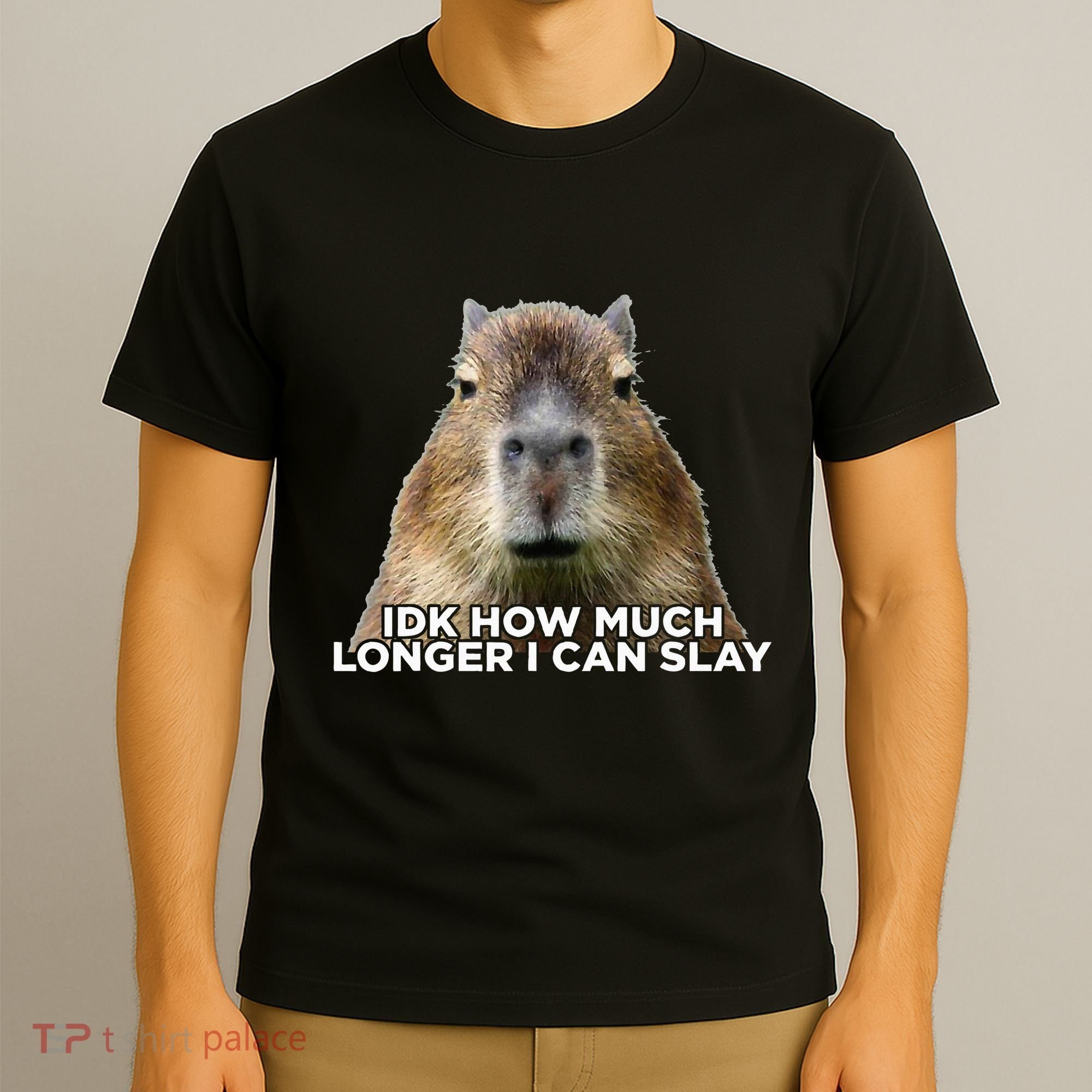 Idk How Much Longer I Can Slay Capybara Sarcastic Dank Meme T-Shirt