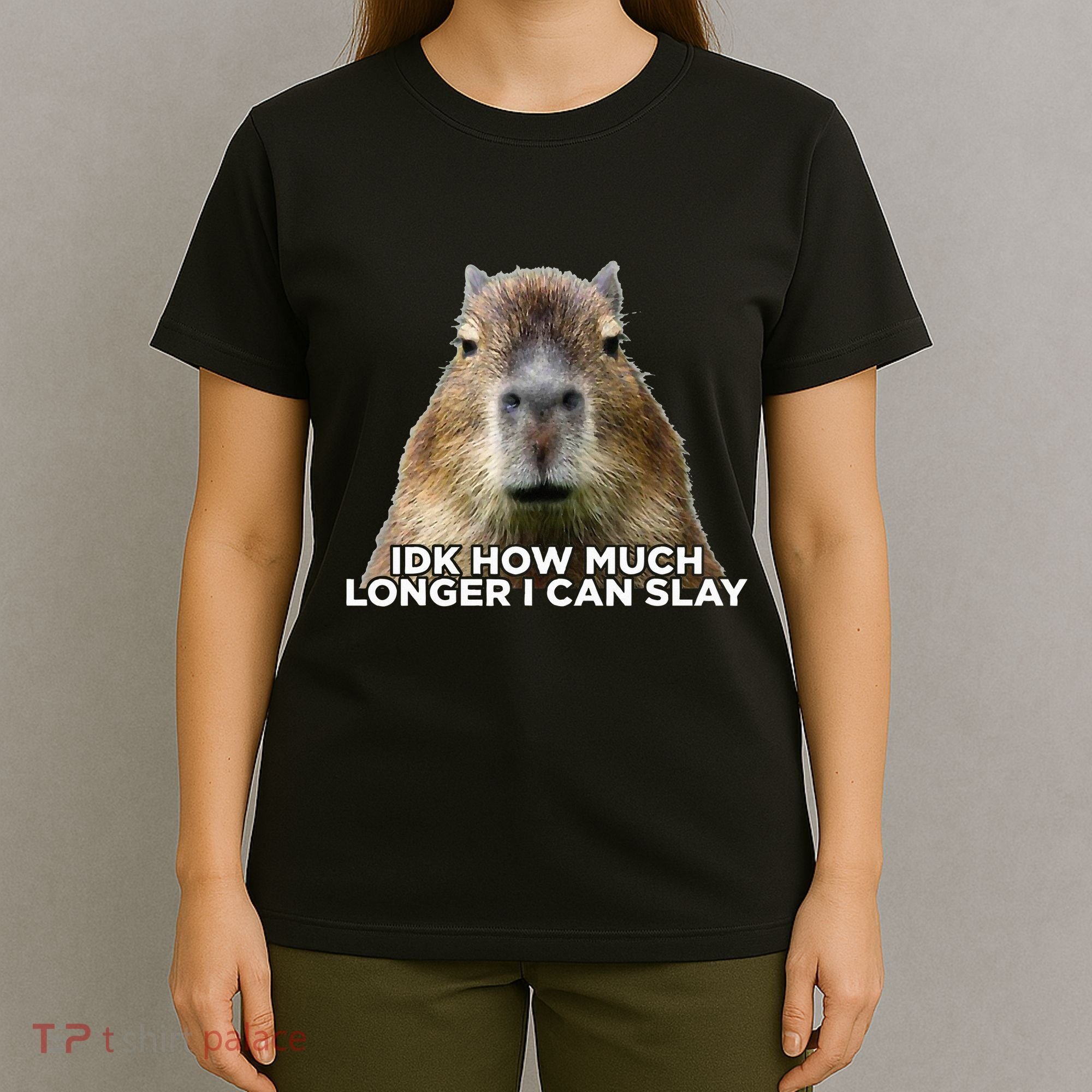 Idk How Much Longer I Can Slay Capybara Sarcastic Dank Meme T-Shirt