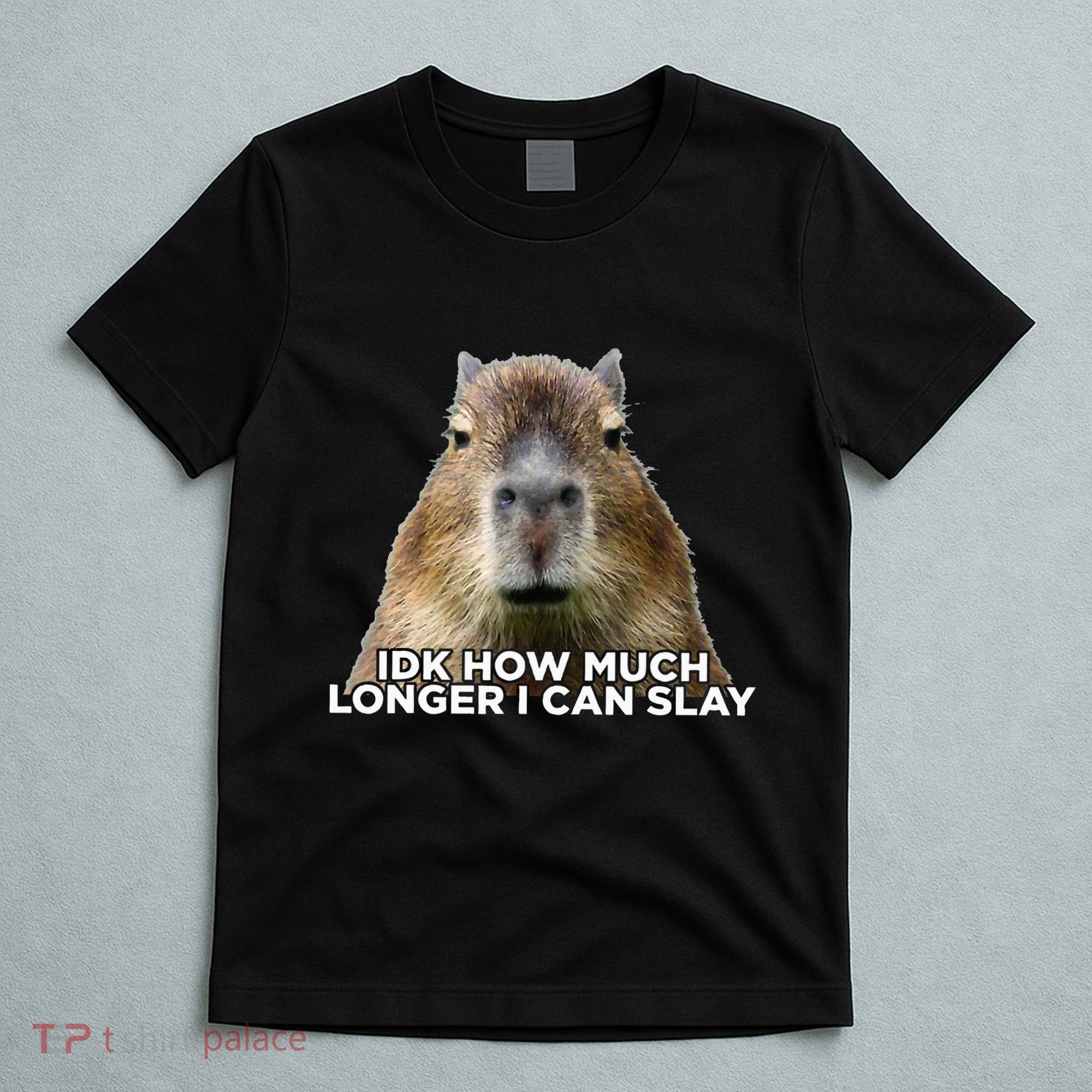 Idk How Much Longer I Can Slay Capybara Sarcastic Dank Meme T-Shirt