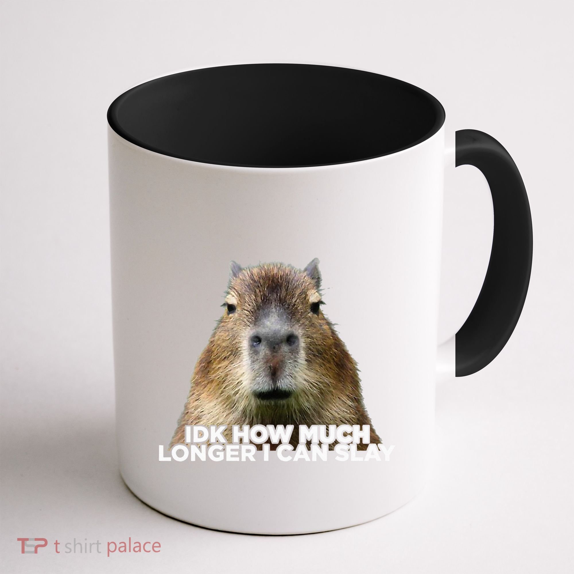 Idk How Much Longer I Can Slay Capybara Sarcastic Dank Meme Coffee Mug