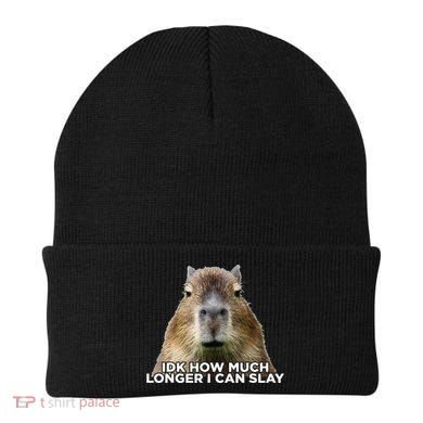 Idk How Much Longer I Can Slay Capybara Sarcastic Dank Meme Beanie