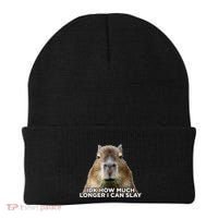 Idk How Much Longer I Can Slay Capybara Sarcastic Dank Meme Beanie thumb 0