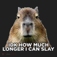 Idk How Much Longer I Can Slay Capybara Sarcastic Dank Meme Beanie thumb 2