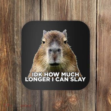 Idk How Much Longer I Can Slay Capybara Sarcastic Dank Meme Coaster
