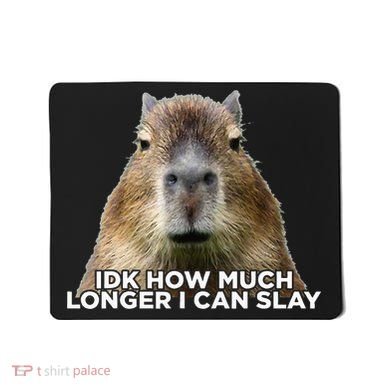 Idk How Much Longer I Can Slay Capybara Sarcastic Dank Meme Mousepad