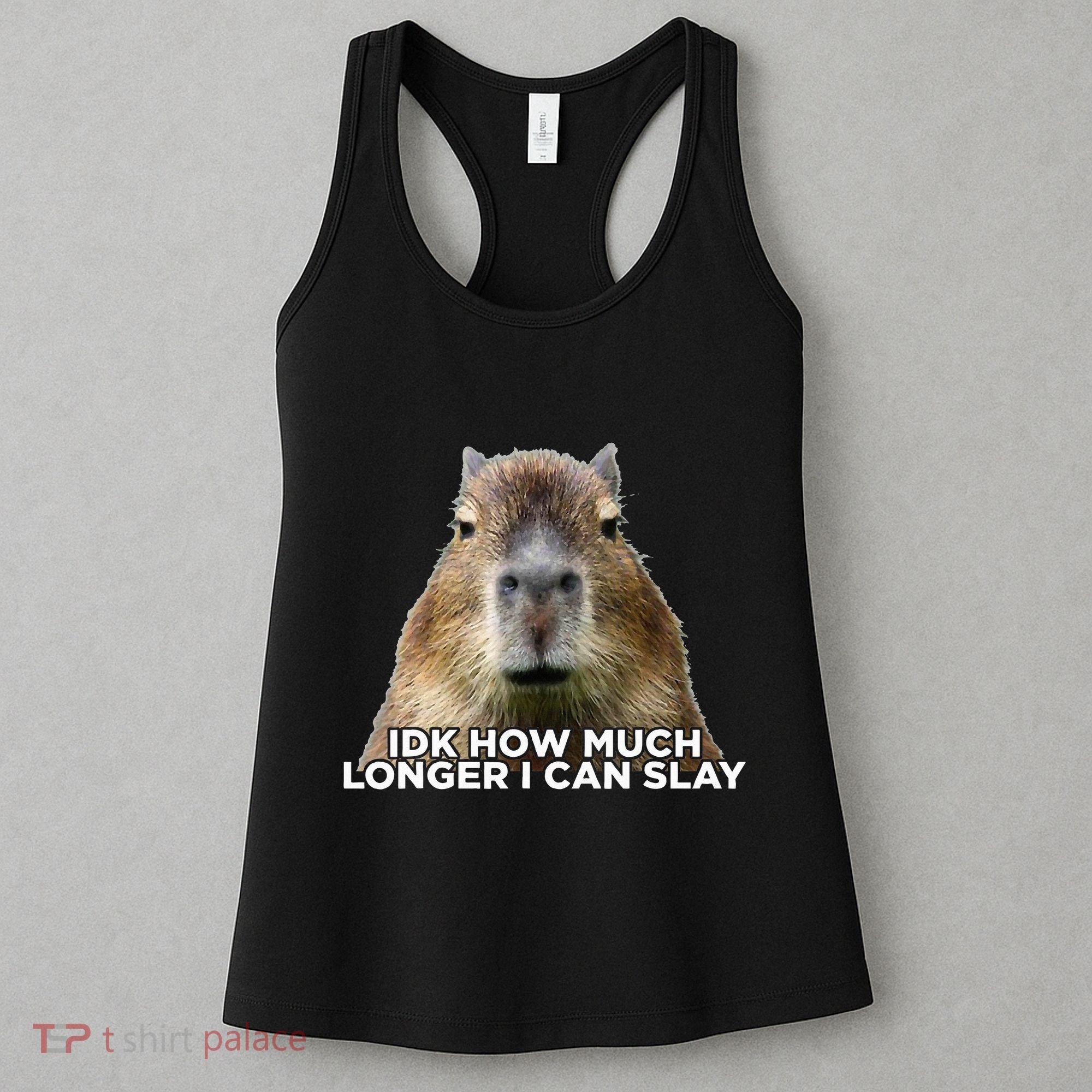 Idk How Much Longer I Can Slay Capybara Sarcastic Dank Meme Women's Tank Top