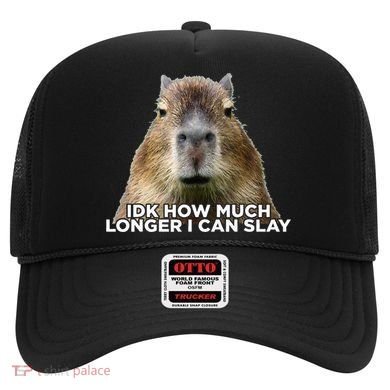 Idk How Much Longer I Can Slay Capybara Sarcastic Dank Meme Hat