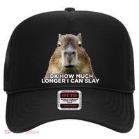 Idk How Much Longer I Can Slay Capybara Sarcastic Dank Meme Hat thumb 0