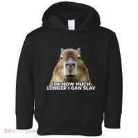 Idk How Much Longer I Can Slay Capybara Sarcastic Dank Meme Toddler Hoodie thumb 0