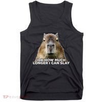 Idk How Much Longer I Can Slay Capybara Sarcastic Dank Meme Tank Top thumb 0