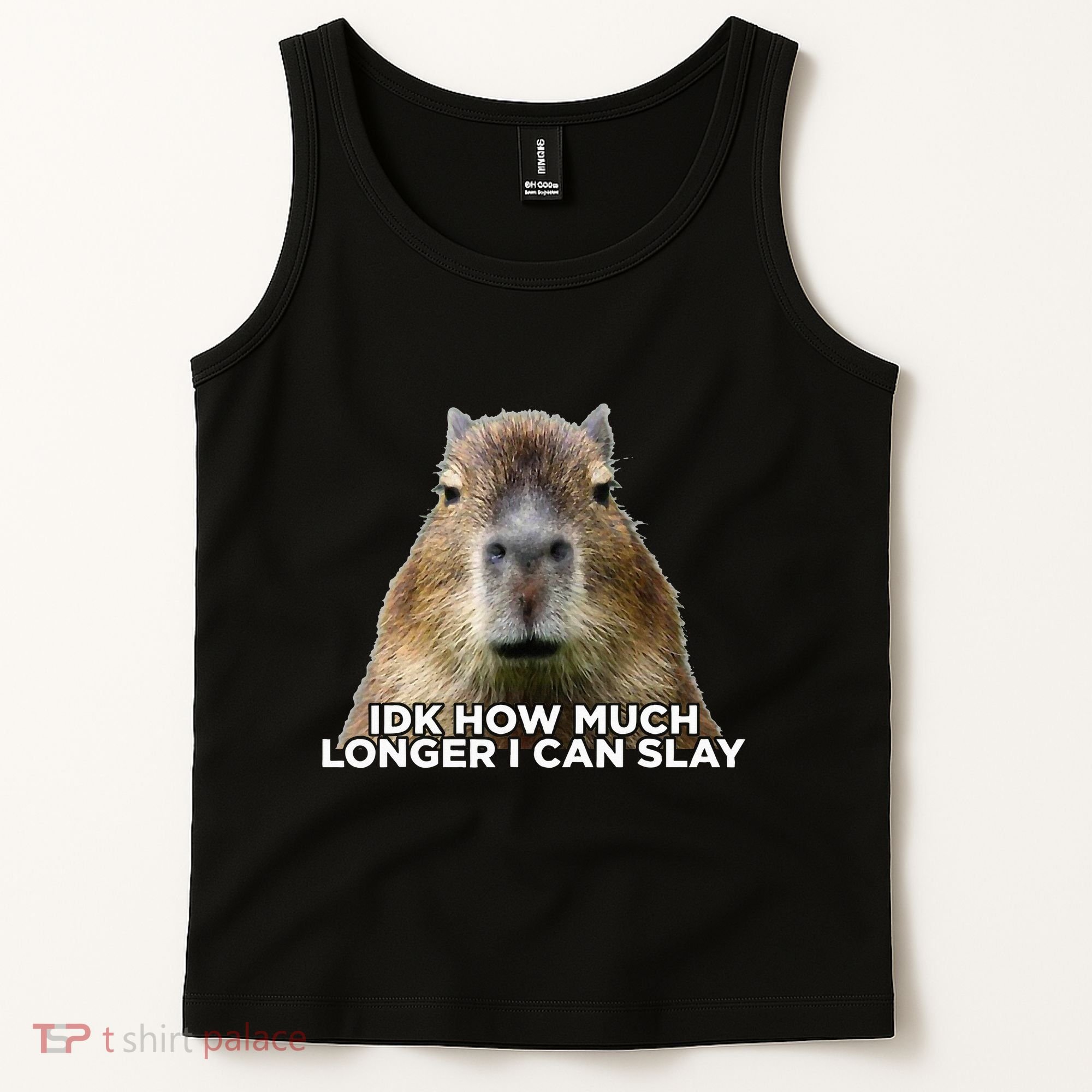Idk How Much Longer I Can Slay Capybara Sarcastic Dank Meme Tank Top