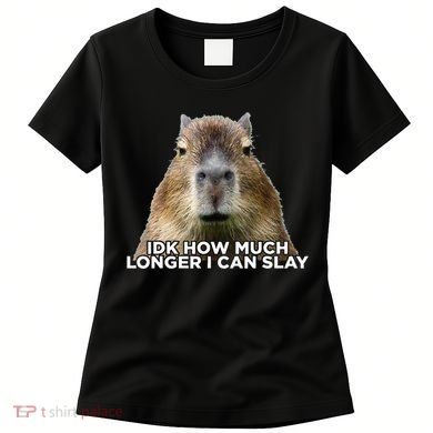 Idk How Much Longer I Can Slay Capybara Sarcastic Dank Meme Women's T-Shirt