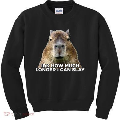 Idk How Much Longer I Can Slay Capybara Sarcastic Dank Meme Kids Sweatshirt