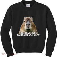 Idk How Much Longer I Can Slay Capybara Sarcastic Dank Meme Kids Sweatshirt thumb 0