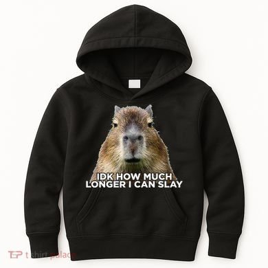 Idk How Much Longer I Can Slay Capybara Sarcastic Dank Meme Kids Hoodie