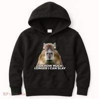 Idk How Much Longer I Can Slay Capybara Sarcastic Dank Meme Kids Hoodie thumb 0