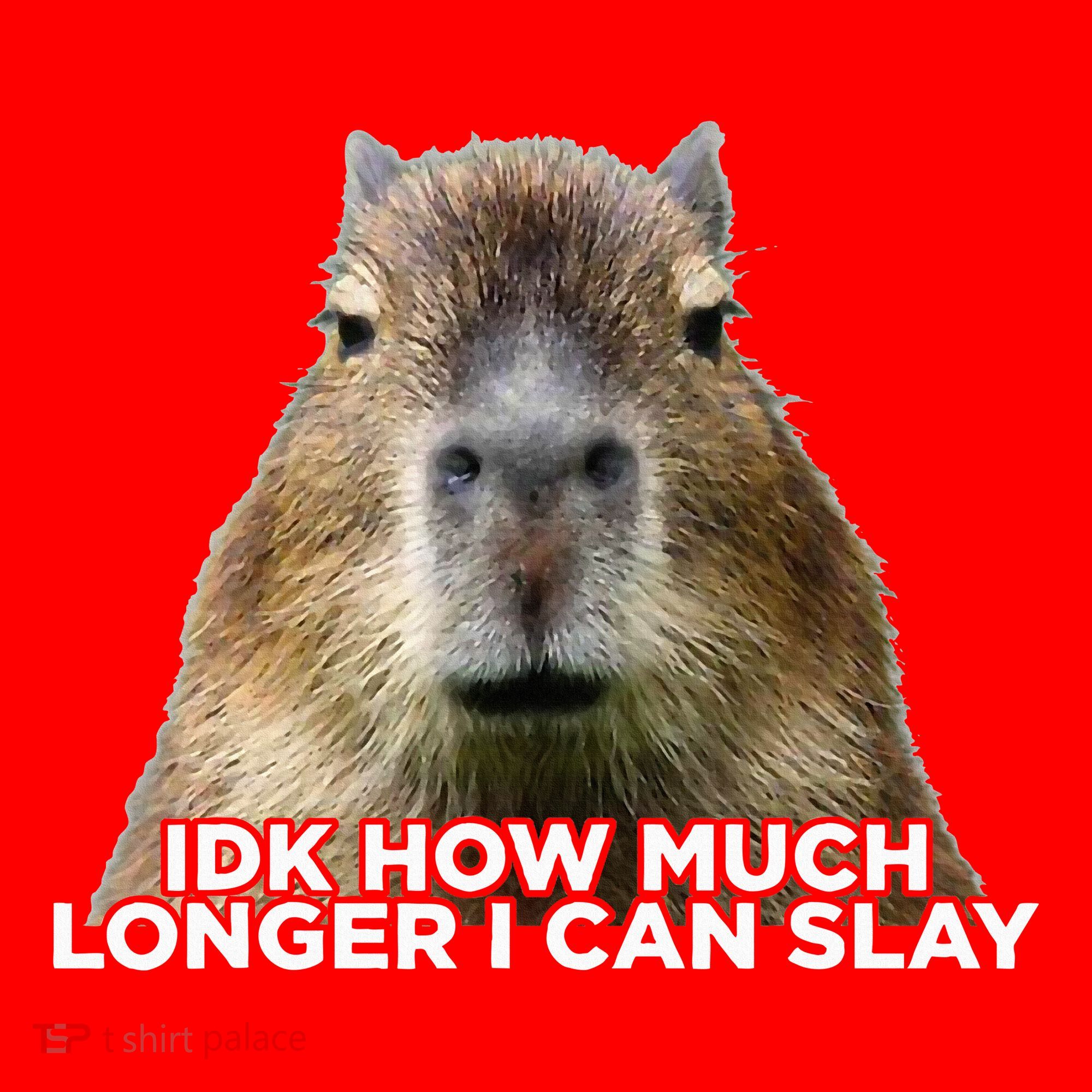 Idk How Much Longer I Can Slay Capybara Sarcastic Dank Meme Santa Hat