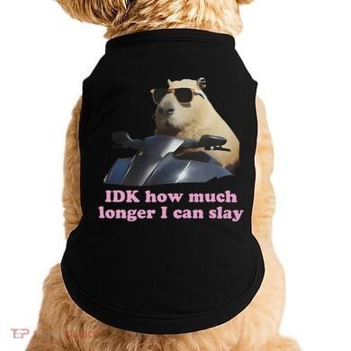 Idk How Much Longer I Can Slay Doggie Tank