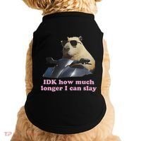 Idk How Much Longer I Can Slay Doggie Tank thumb 0