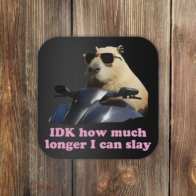 Idk How Much Longer I Can Slay Coaster