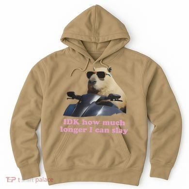 Idk How Much Longer I Can Slay Hoodie
