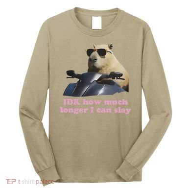 Idk How Much Longer I Can Slay Long Sleeve Shirt