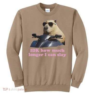 Idk How Much Longer I Can Slay Sweatshirt