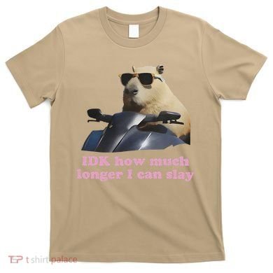 Idk How Much Longer I Can Slay T-Shirt
