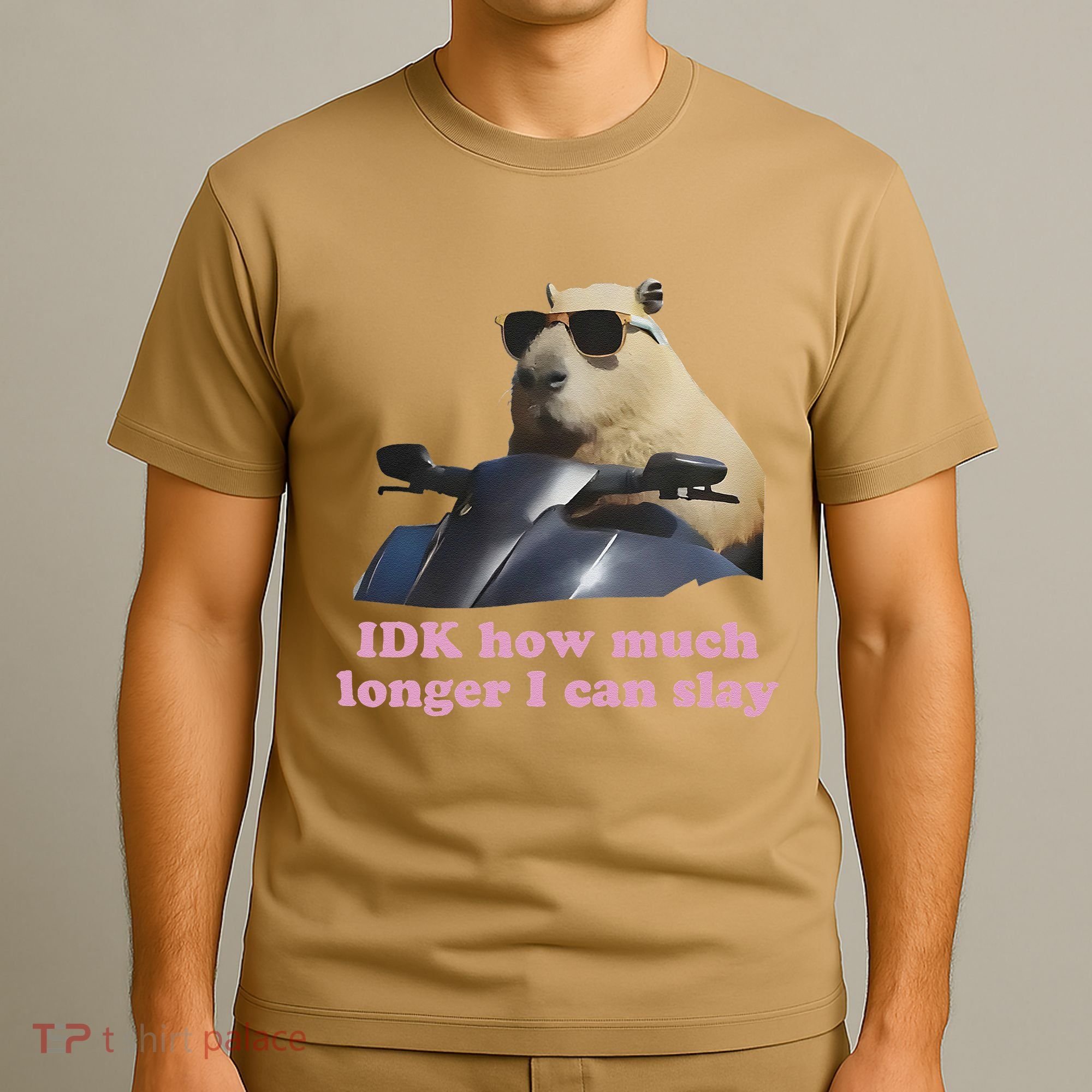 Idk How Much Longer I Can Slay T-Shirt