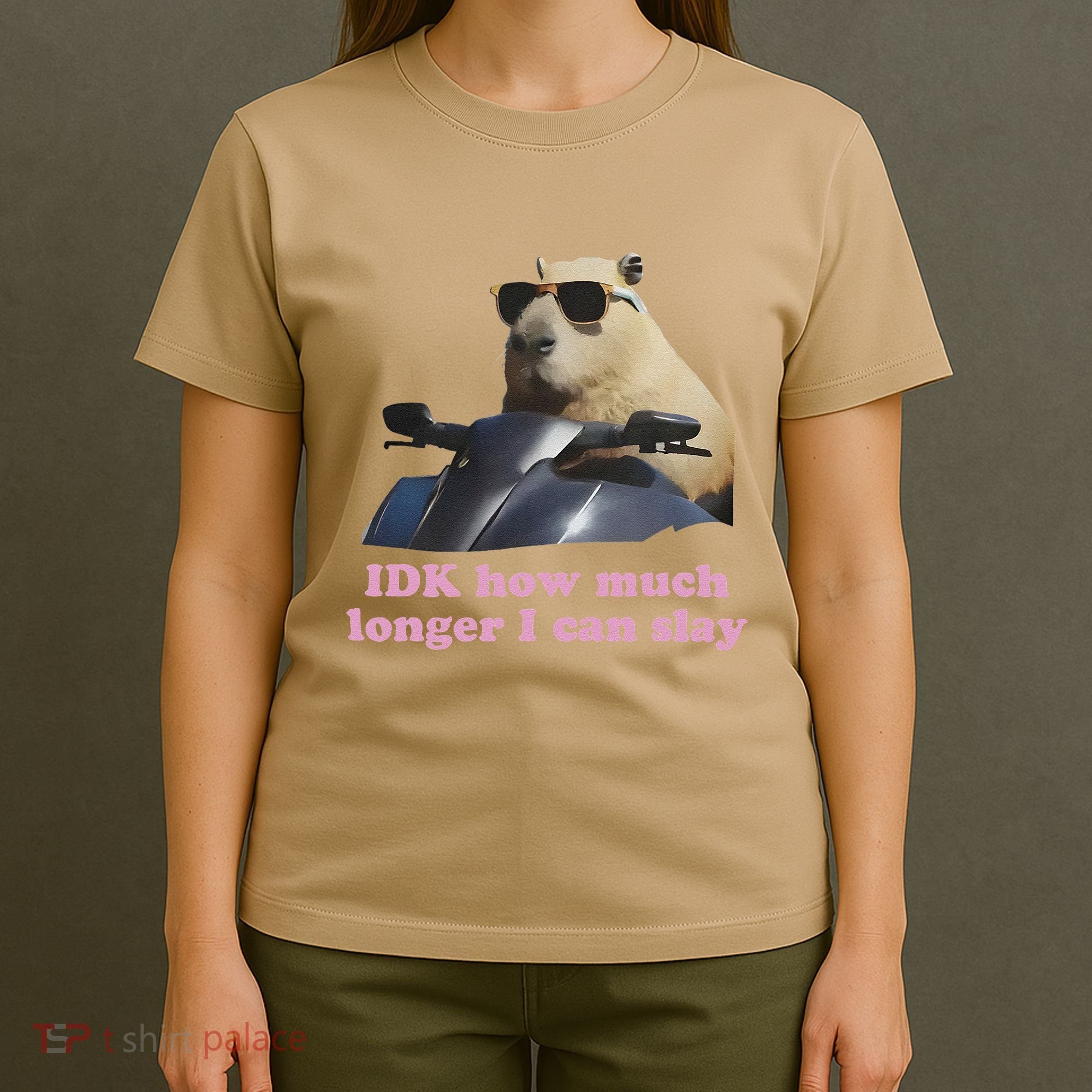 Idk How Much Longer I Can Slay T-Shirt