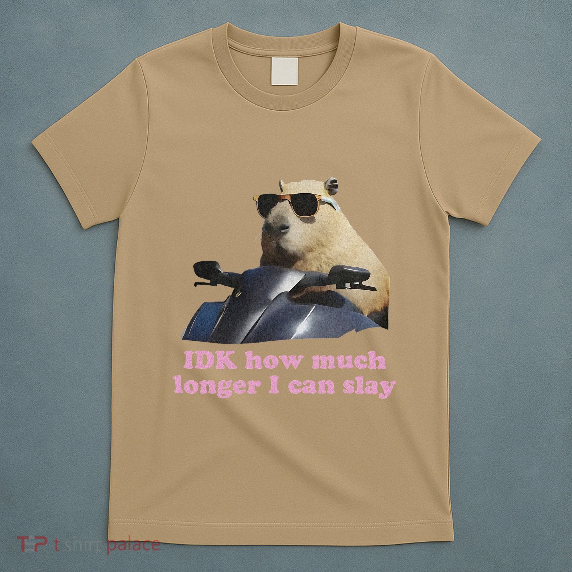 Idk How Much Longer I Can Slay T-Shirt