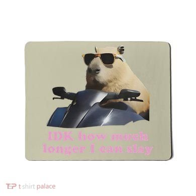 Idk How Much Longer I Can Slay Mousepad