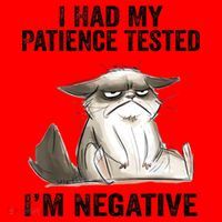 I Had My Patience Tested I'm Negative Cat Funny Sarcasm Santa Hat thumb 1