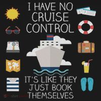 I Have No Cruise Control Cruise Hoodie thumb 7