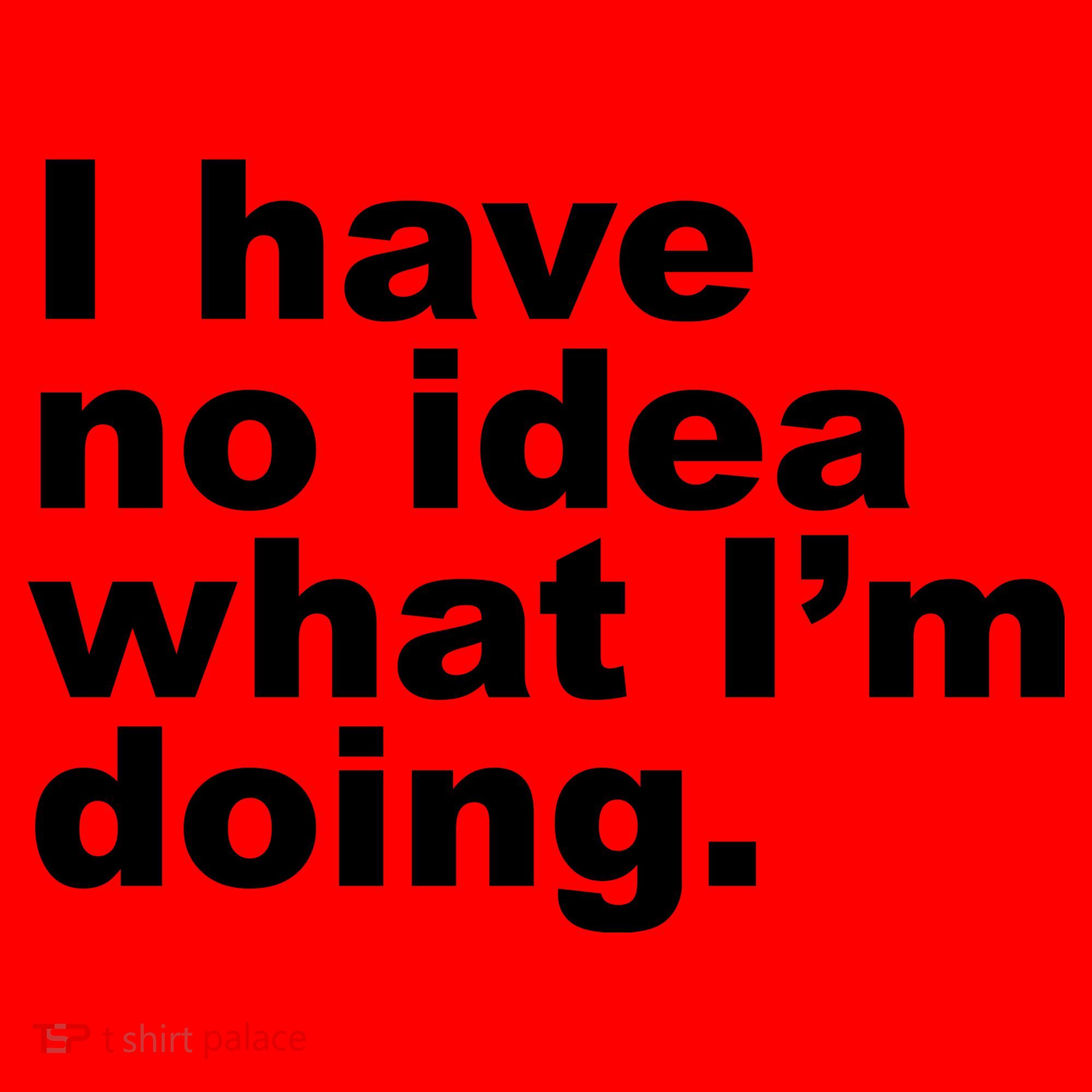 I Have No Idea What I'm Doing Funny Slogan Santa Hat