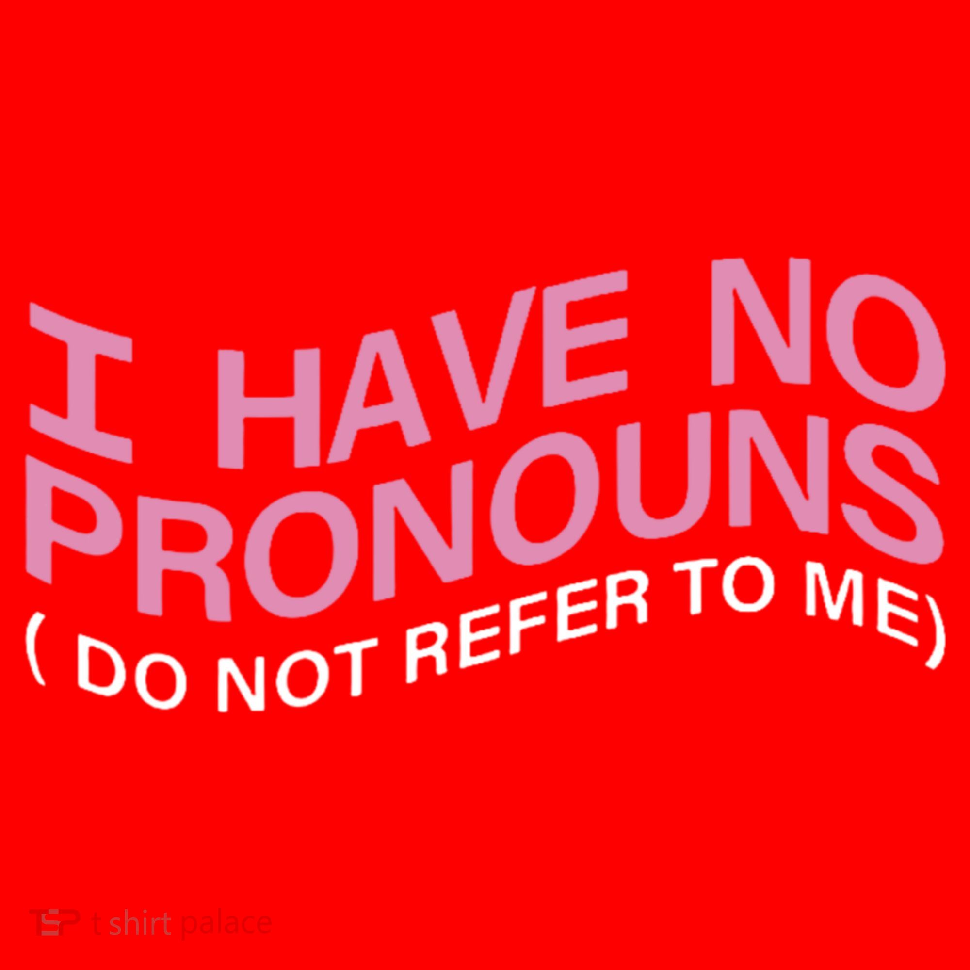 I Have No Pronouns Do Not Refer To Me Santa Hat