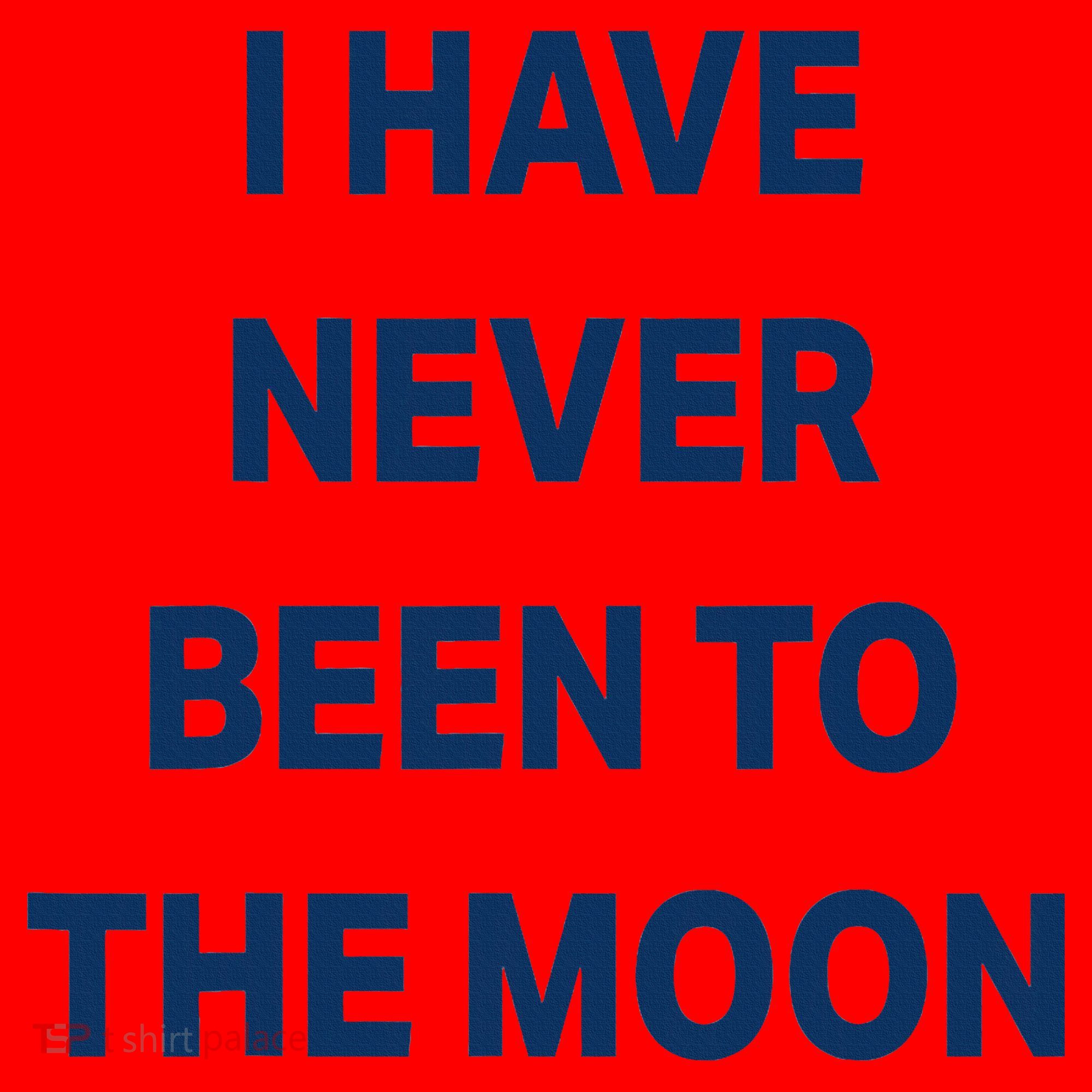 I Have Never Been To The Moon Funny Santa Hat