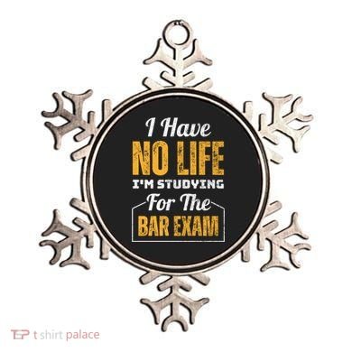 I Have No Life IM Studying For The Bar Exam Funny Cute Gift Ornament