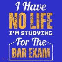 I Have No Life IM Studying For The Bar Exam Funny Cute Gift Visor thumb 3