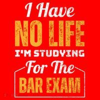 I Have No Life IM Studying For The Bar Exam Funny Cute Gift Santa Hat thumb 1