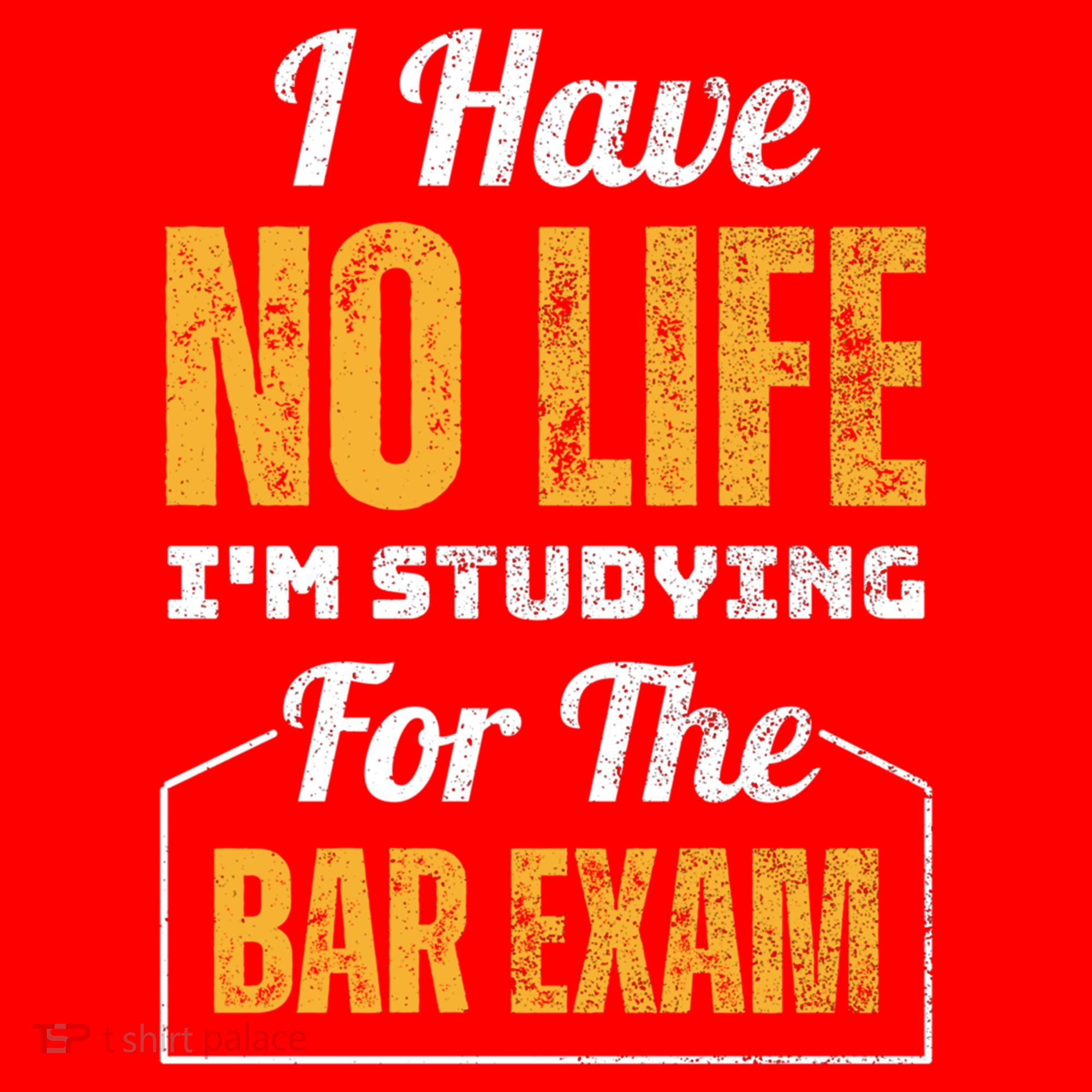 I Have No Life IM Studying For The Bar Exam Funny Cute Gift Santa Hat
