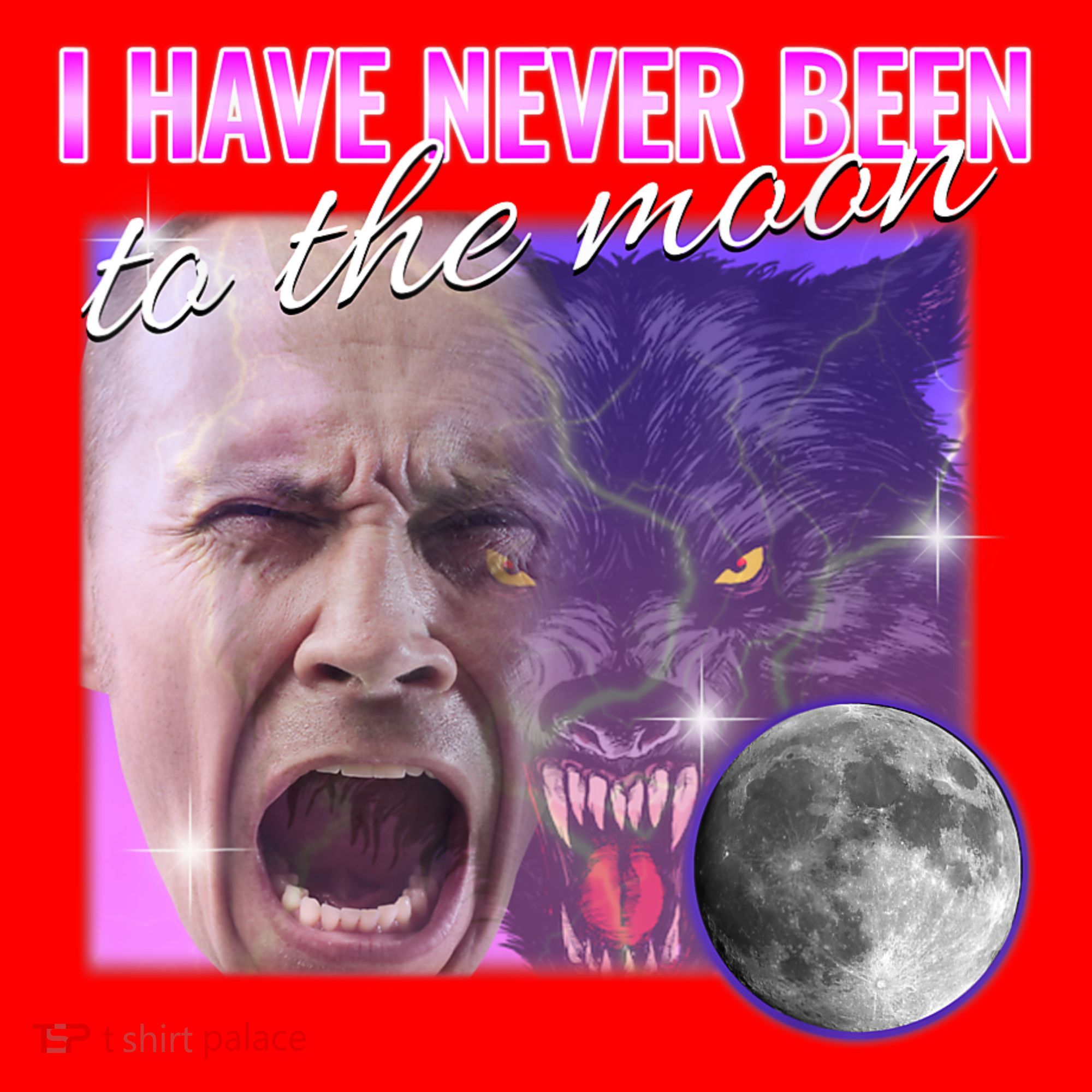 I Have Never Been To The Moon Dank Meme Cursed Funny Cringe Santa Hat