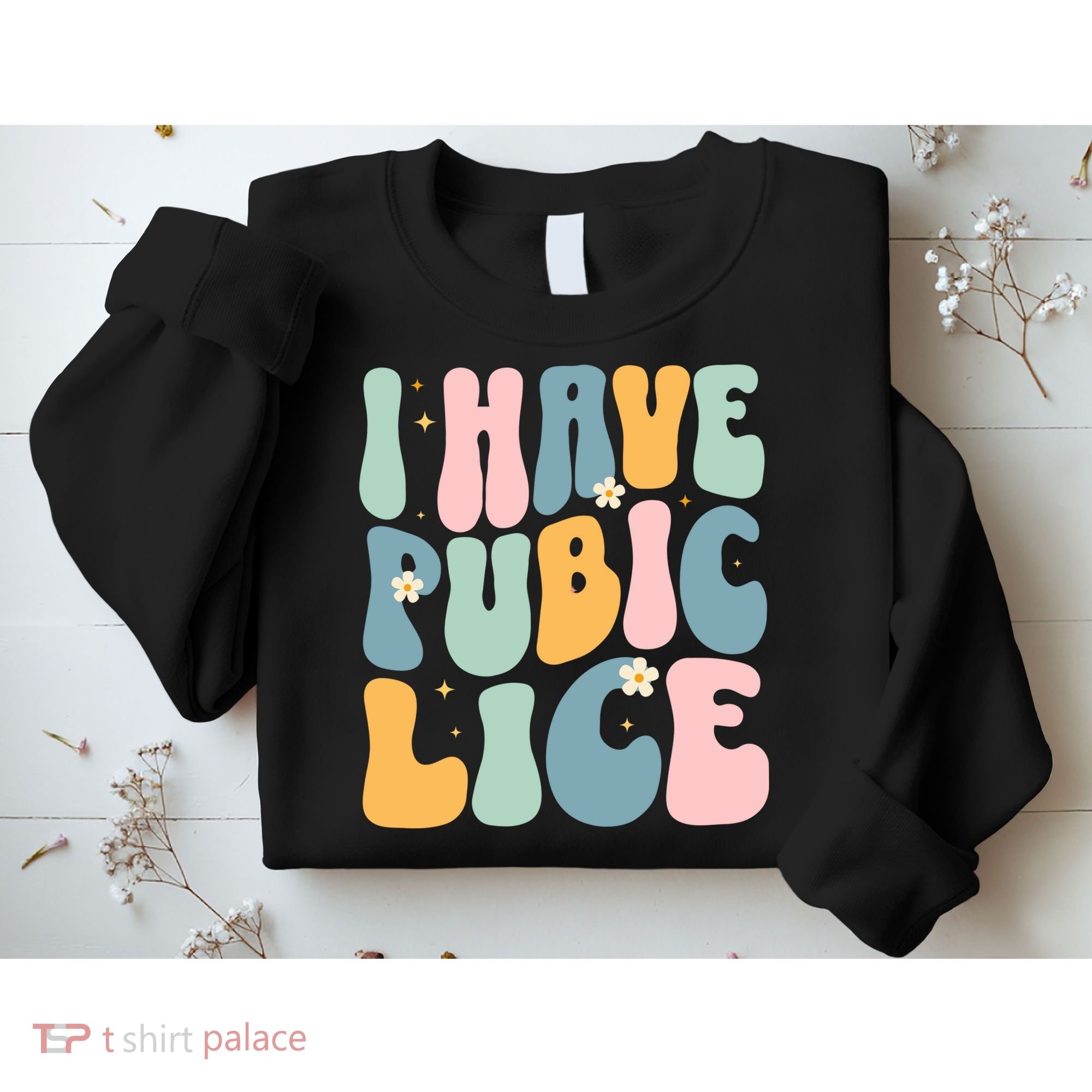 I Have Pubic Lice Funny Offensive Inappropriate Meme Sweatshirt