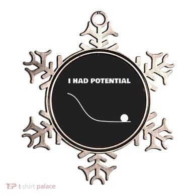 I Had Potential For Men Women Funny Physics Science Ornament