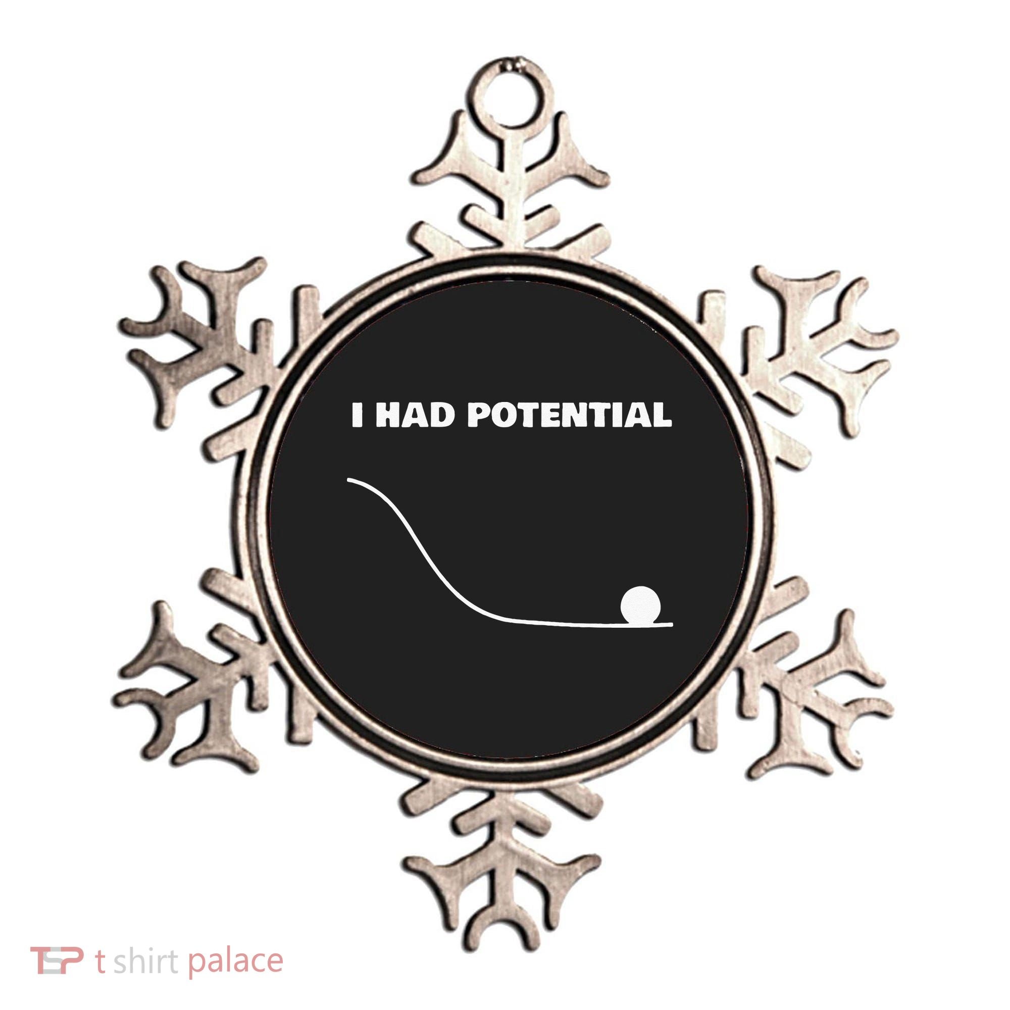 I Had Potential For Men Women Funny Physics Science Ornament