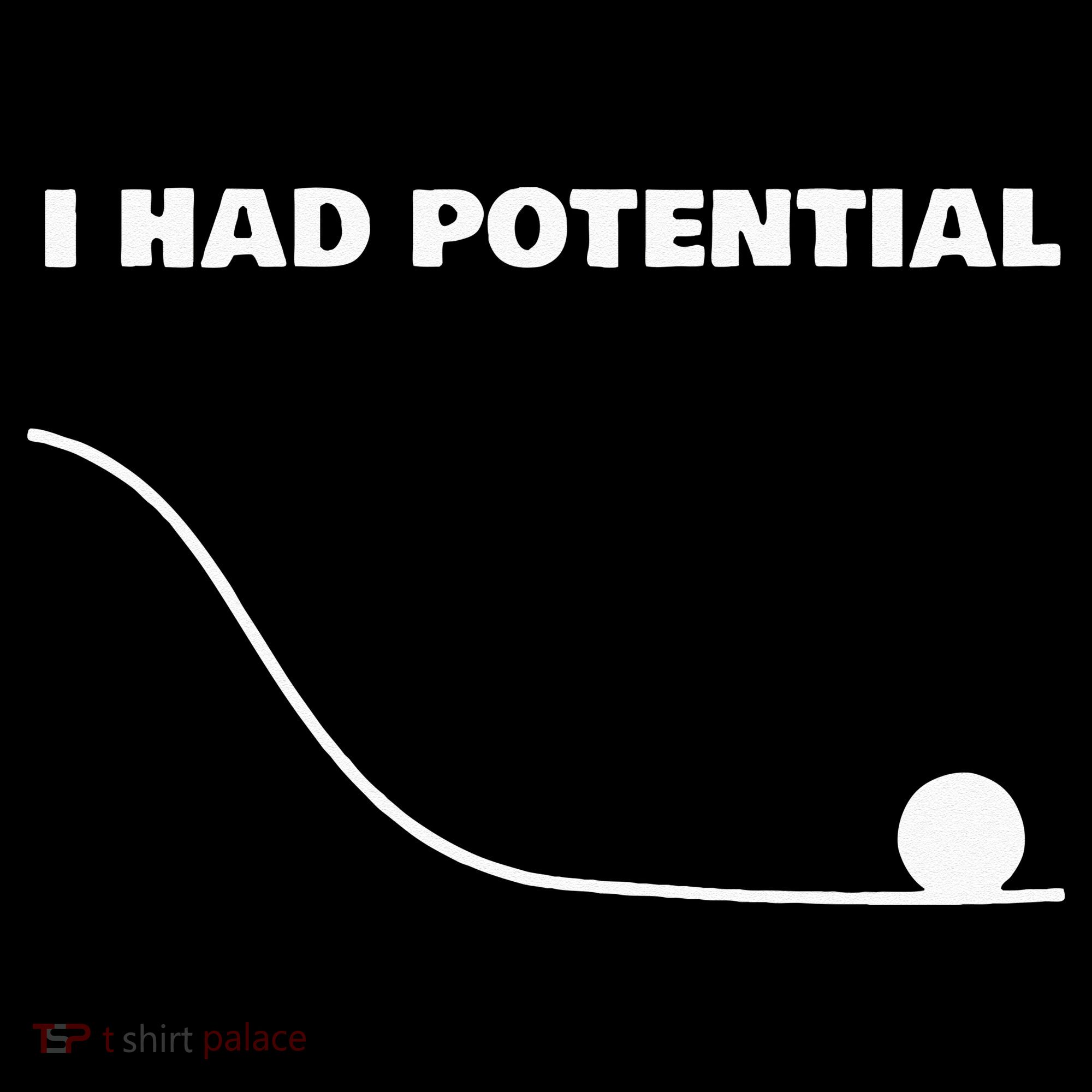 I Had Potential For Men Women Funny Physics Science Ornament