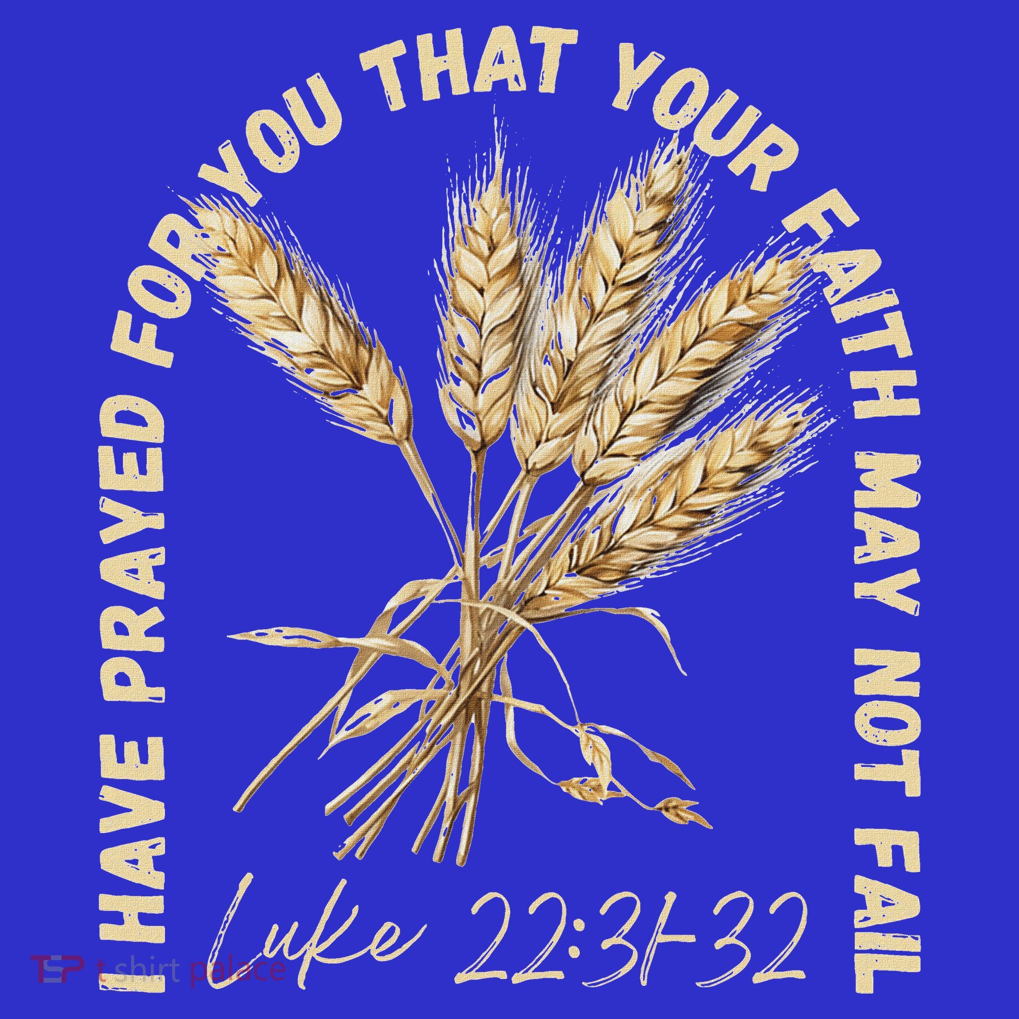 I Have Prayed For You Luke 2231 32 Faith T-Shirt
